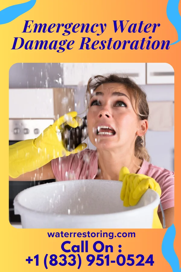 Emergency Water Damage Restoration in Madisonville, TN