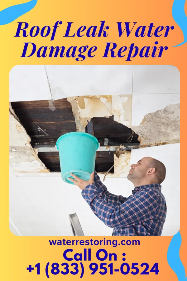 Roof Leak Water Damage Repair in Madisonville, TN
