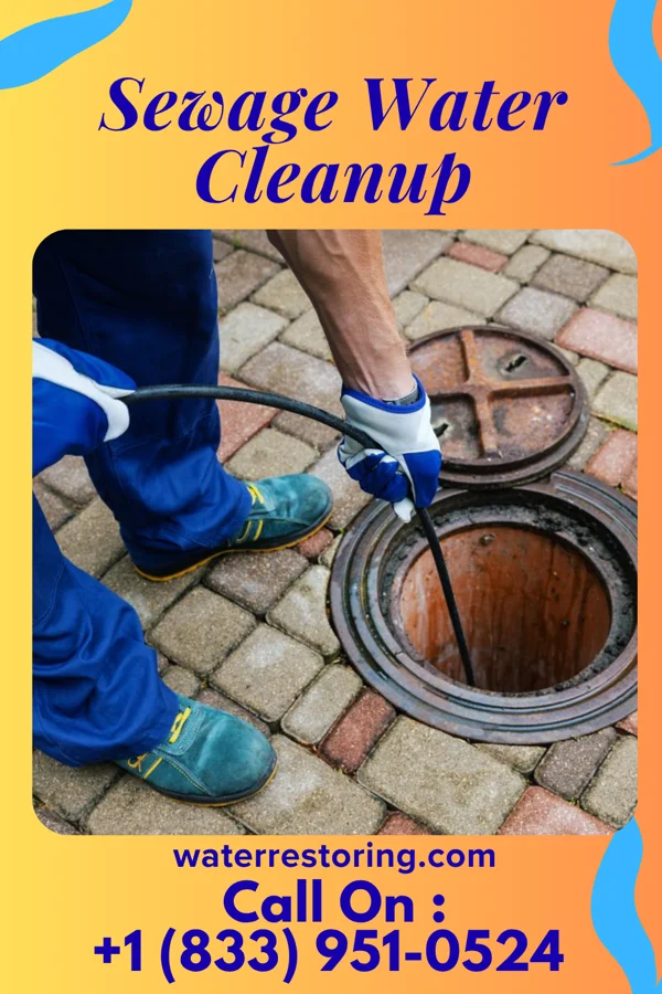 Sewage Water Cleanup in Madisonville, TN