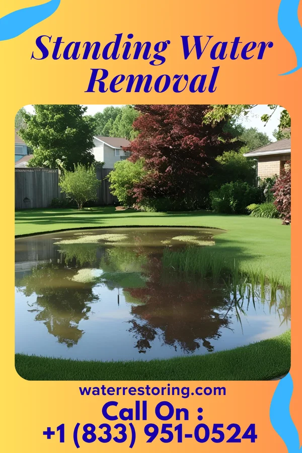 Standing Water Removal in Madisonville, TN